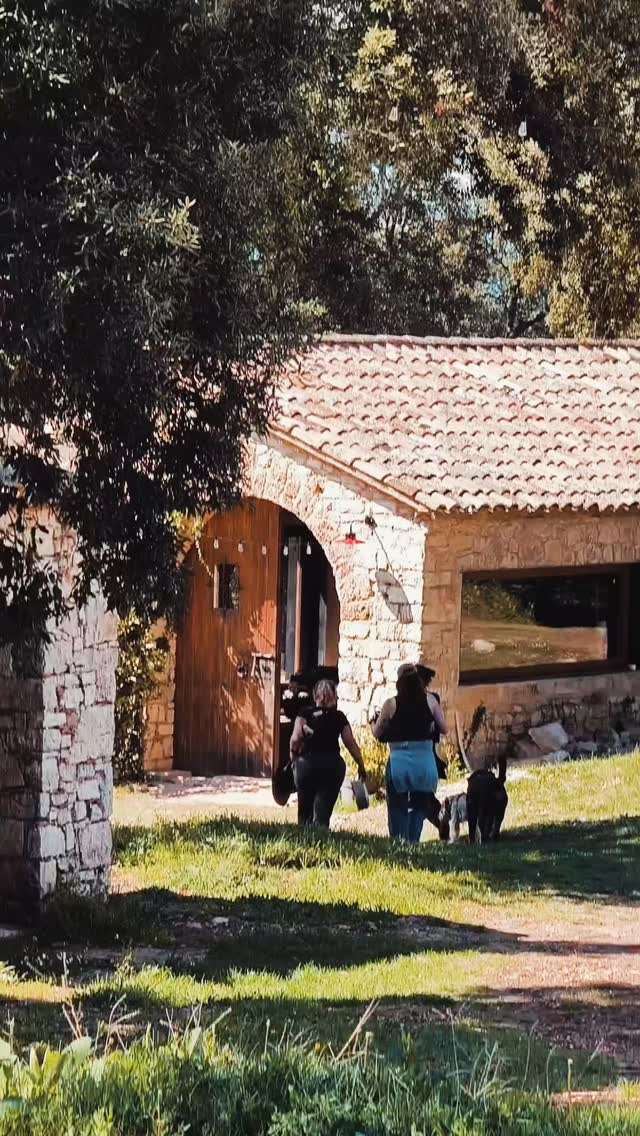 The stone entrance of the Can Brull masia, with visitors and dogs walking in.